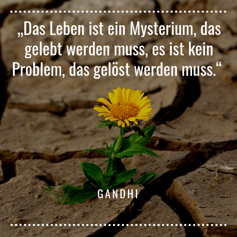 Das Leben ist ein Mysterium, das gelebt werden muss